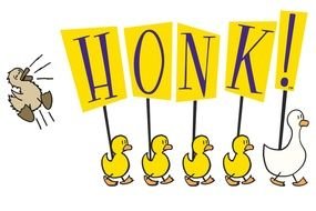 painted family of ducks with the inscription Honk