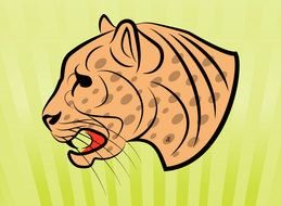 drawn portrait of a jaguar