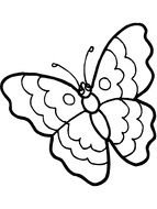 black and white butterfly for coloring