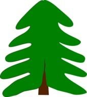 Fir Tree drawing