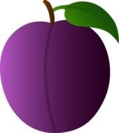 painted purple plum