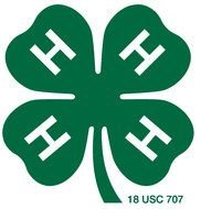 4h Club Prepares For Year Mywausanewscom