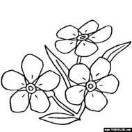 Flower Coloring Pages Color Flowers Online Page 1 N2