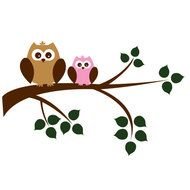 Owls Jobspapa