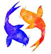 Colorful Koi Fishes clipart