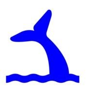 Whale Tail drawing