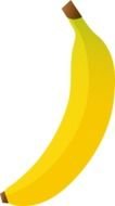 Single Large Yellow Banana drawing