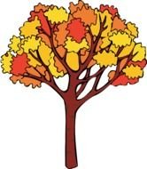 Fall tree orange and red drawing