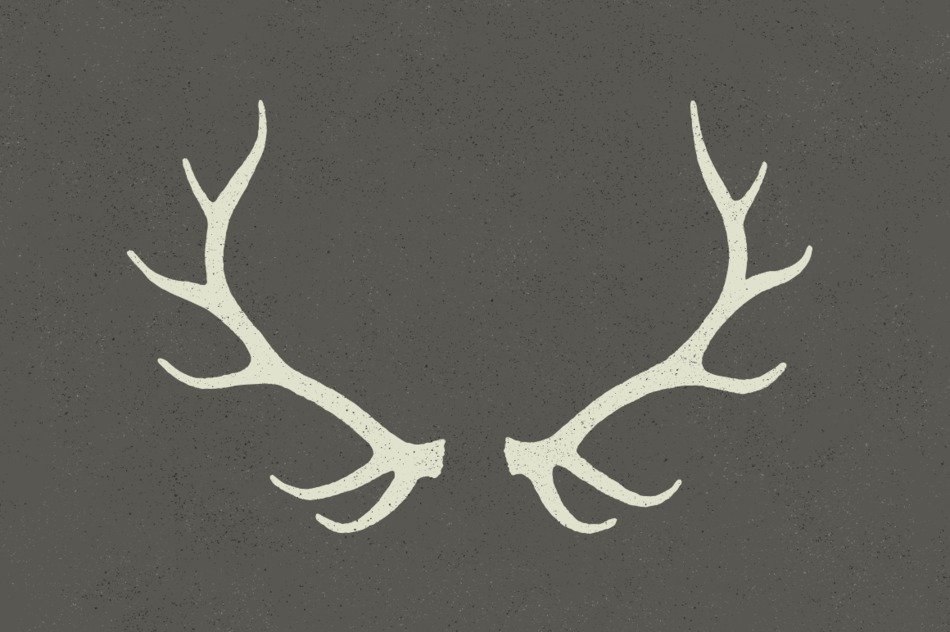 antlers on a gray background