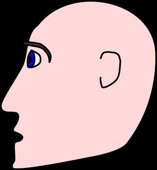 Man Head Side Bald At Clkercom Vector Online