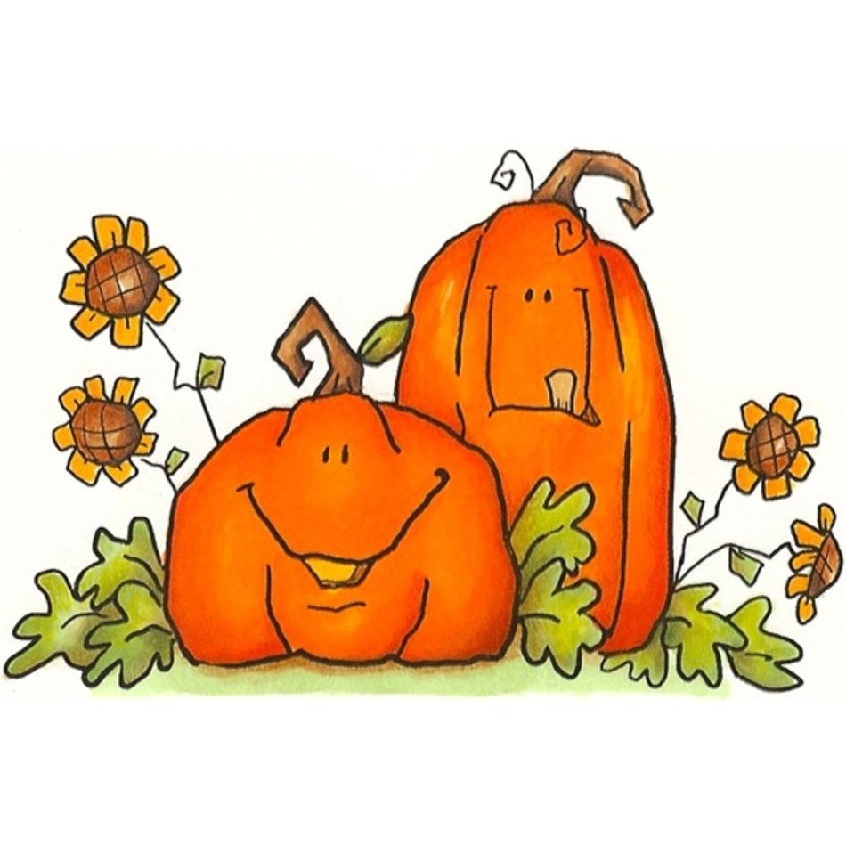 Related Pictures Thanksgiving Pumpkins Car