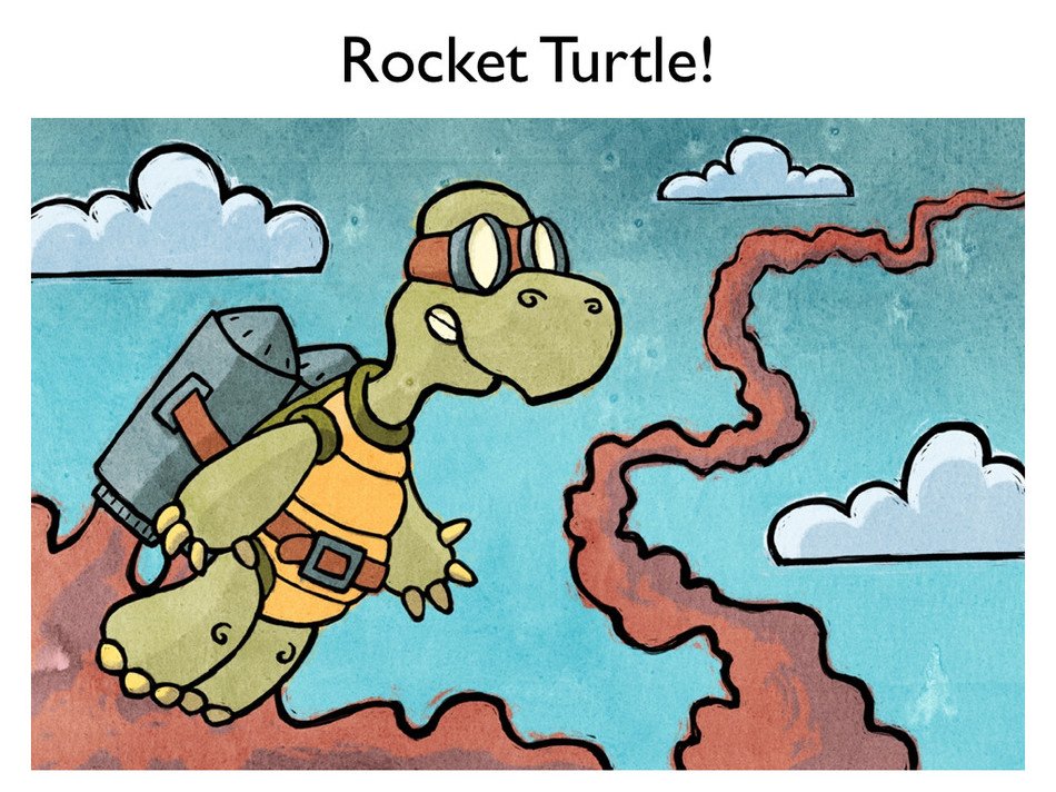 Drawing of the rocket turtle