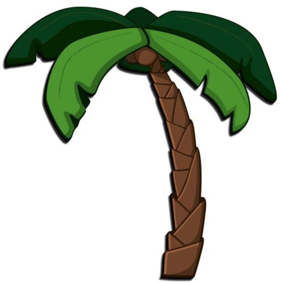 3d Palm Tree Beautiful Scenery Photography