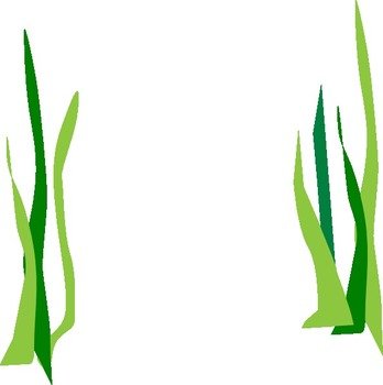 Seaweed Sco clipart