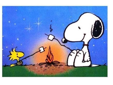 animals near the fire