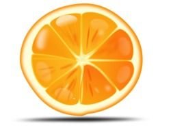 clipart of the orange slice