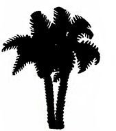 Related Pictures Oak Tree Silhouette