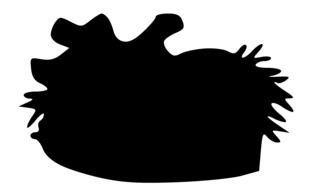 black animal Silhouette