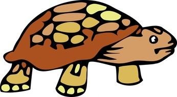 clipart of the brown turtle