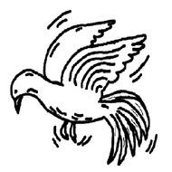 drawn bird