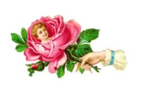 Gallery Vintage Flower drawing