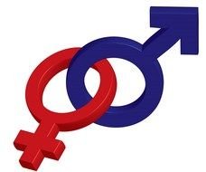 Male Or Female Symbol drawing