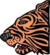 Simple Tiger Head drawing