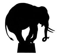 Circus Elephant drawing