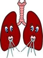 Cartoon Lungs as clipart