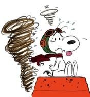 crazy dog as a graphic illustration