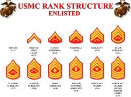 Usmc Enlisted Rank drawing