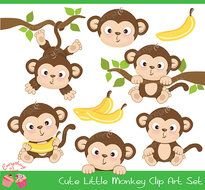 Cute Little Monkey Set