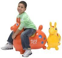 photo of a boy on a rubber toy