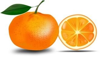 tangerine on a white background