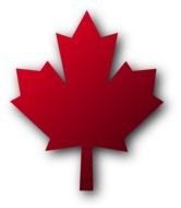 Maple Leaf At Clkercom Vector Online Royalty N4