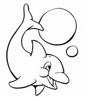 the Dolphin plays drawing