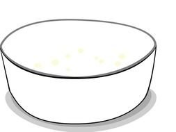 Fruit Salad Black And White Panda Free