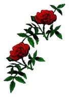 two red roses as a picture for clipart