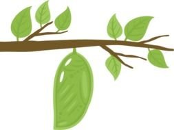 Clip art of the green leaves on a branch