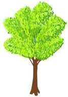 Cartoon Tree Outline drawing
