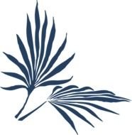 Blue Palm Frond At Clkercom Vector Online
