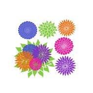 Floral Cluster and Individual Flowers, drawing