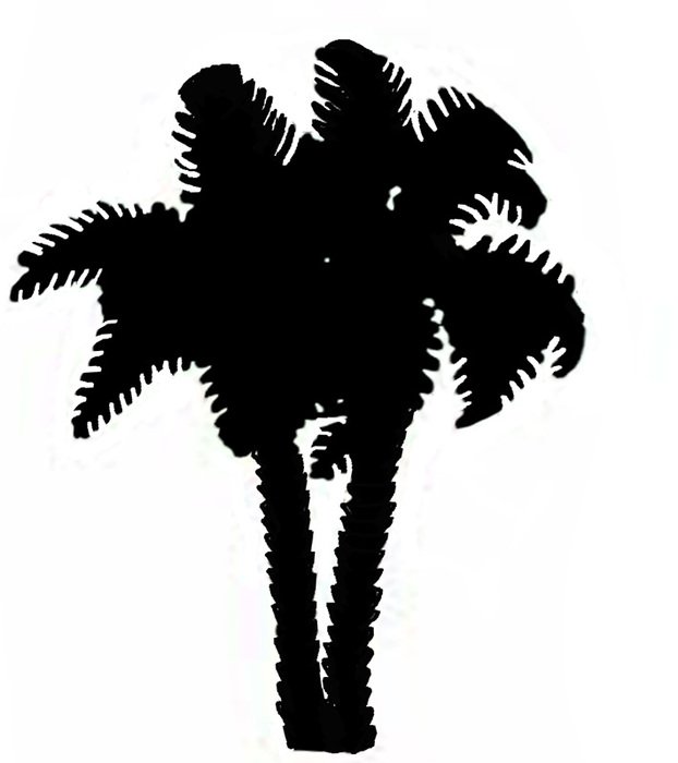 Related Pictures Oak Tree Silhouette