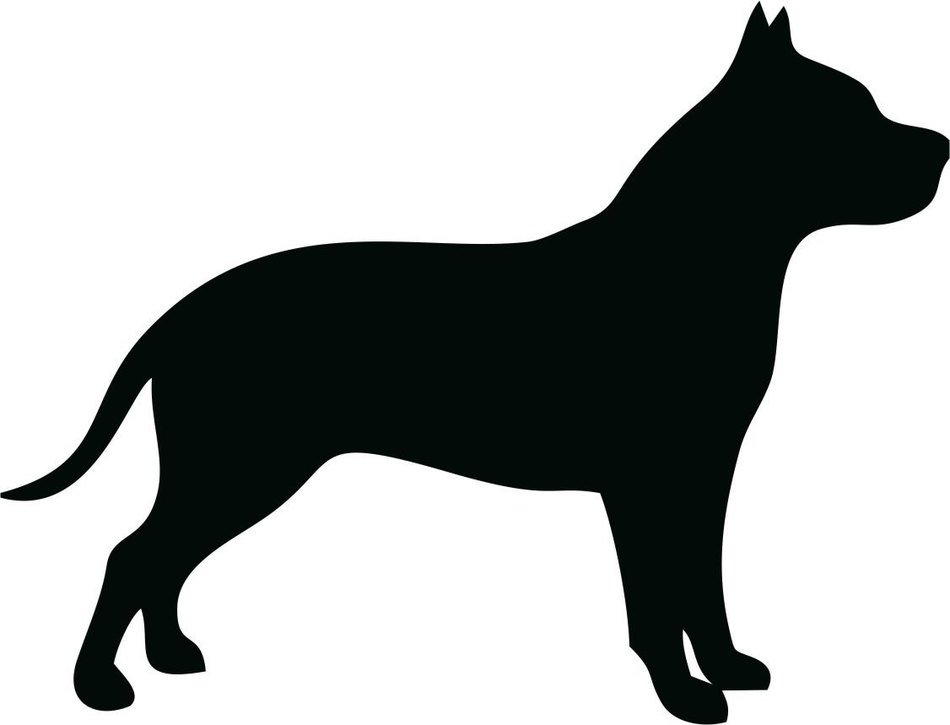 Pitbill Silhouette drawing