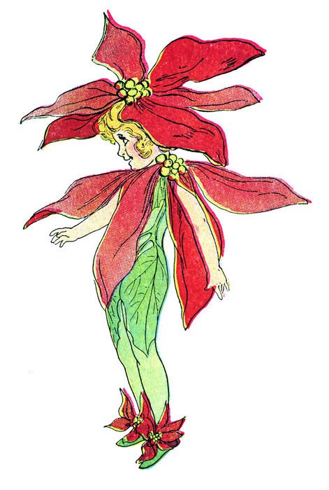 girl in Poinsettia costume, vintage drawing