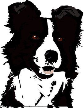 Related Pictures Dog Collie Preview Dogs To N2