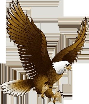 Download Png Image Eagle With Transparency Free