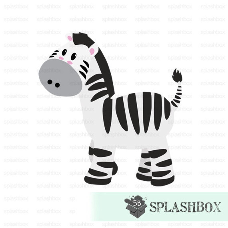 Downsized Image Zebra
