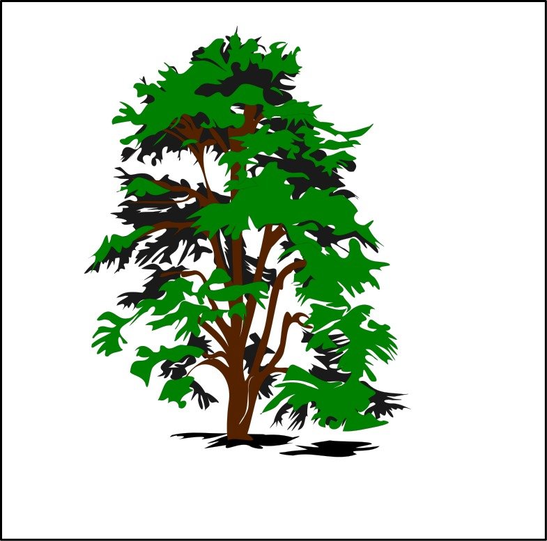 Planting Trees Tree At Clker Com