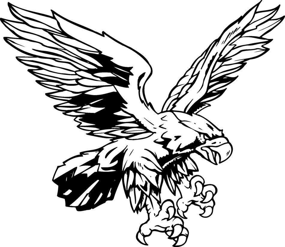 Ä°llustration of Red Tailed Hawk